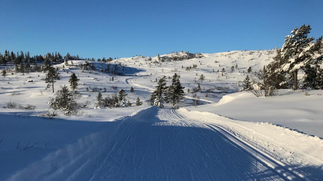 Ski Lodge Gautefall Eksteriør billede