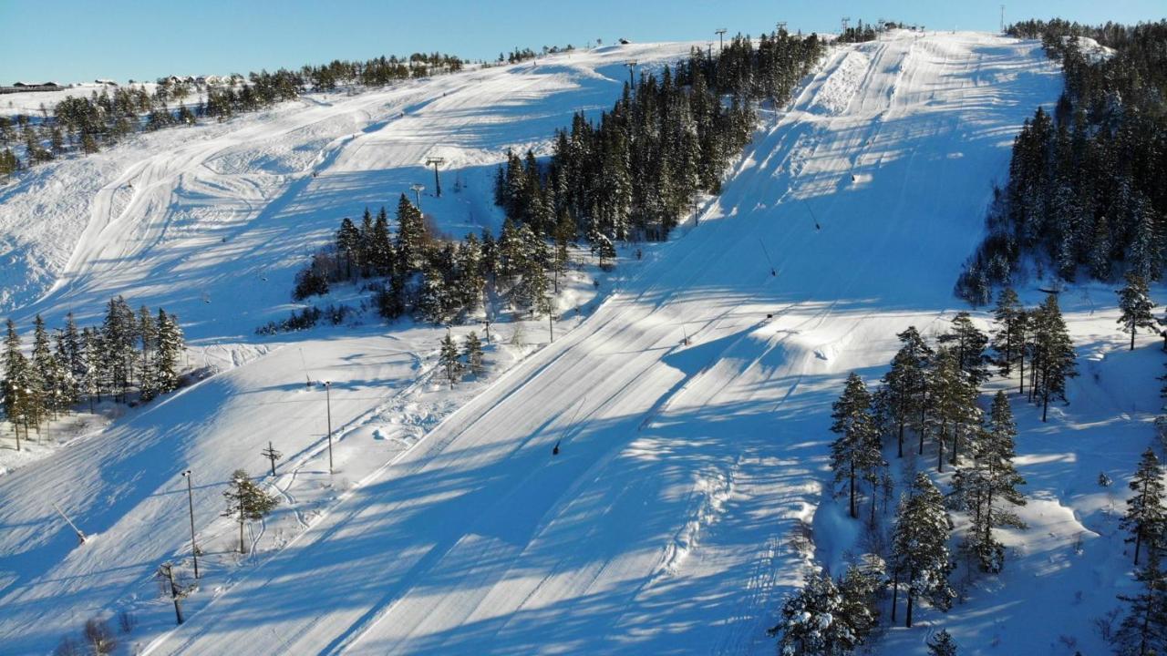 Ski Lodge Gautefall Eksteriør billede
